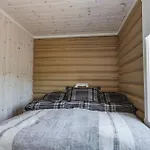 Fulufjellet Holiday home *