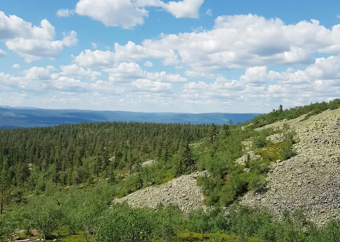 Fulufjellet Hébergement de vacances Ljordalen